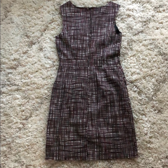 The Limited Dress - Picture 4 of 4